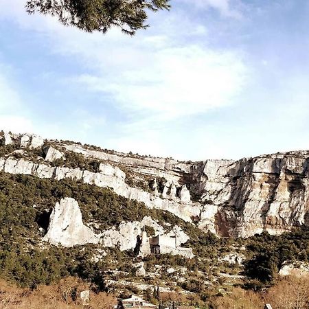 Vue Panoramique Sur Le Chateau,Montagne Et Grottes Fontaine-de-Vaucluse Ngoại thất bức ảnh