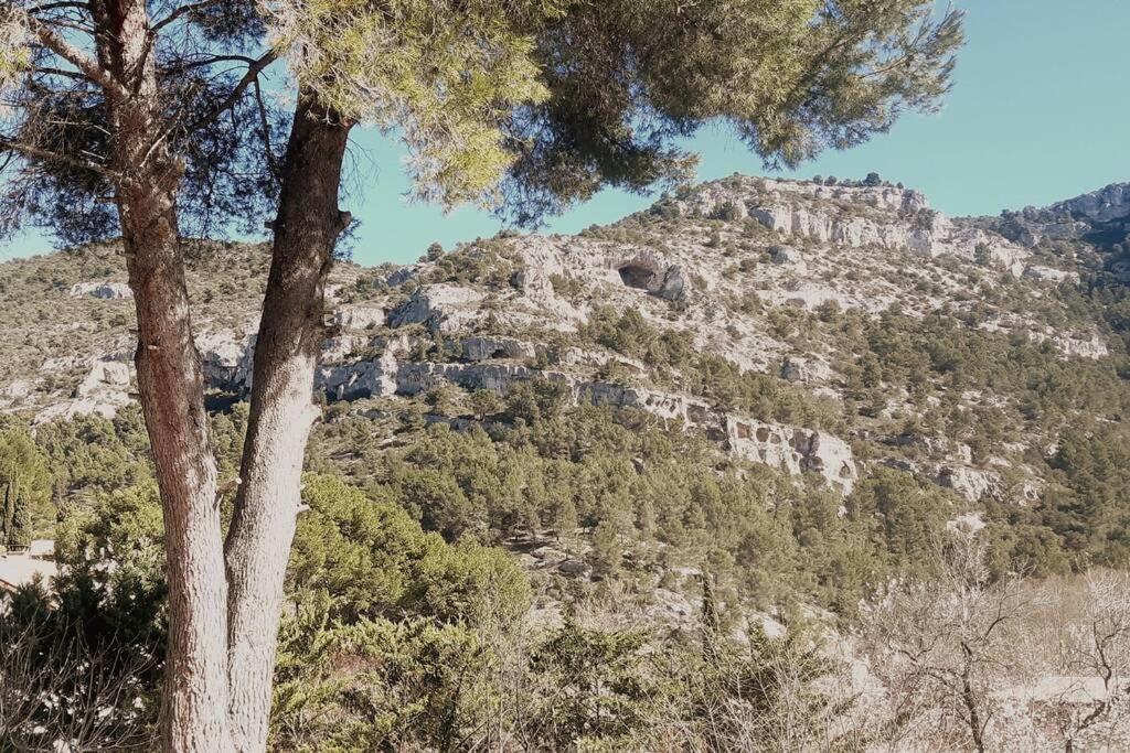Vue Panoramique Sur Le Chateau,Montagne Et Grottes Fontaine-de-Vaucluse Ngoại thất bức ảnh