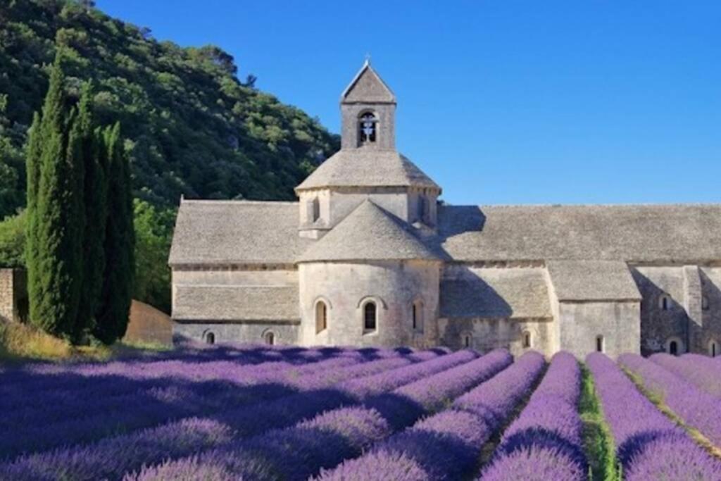 Vue Panoramique Sur Le Chateau,Montagne Et Grottes Fontaine-de-Vaucluse Ngoại thất bức ảnh